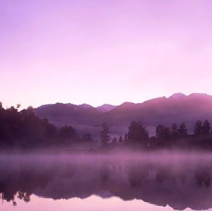 Meet your Posher, Chaya